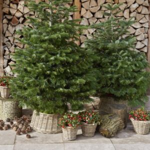 Test product voor afbeeldingen 29/01